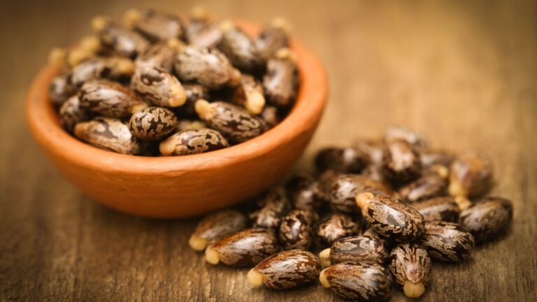 The Benefits of Jamaican Castor Oil for All Hair Types