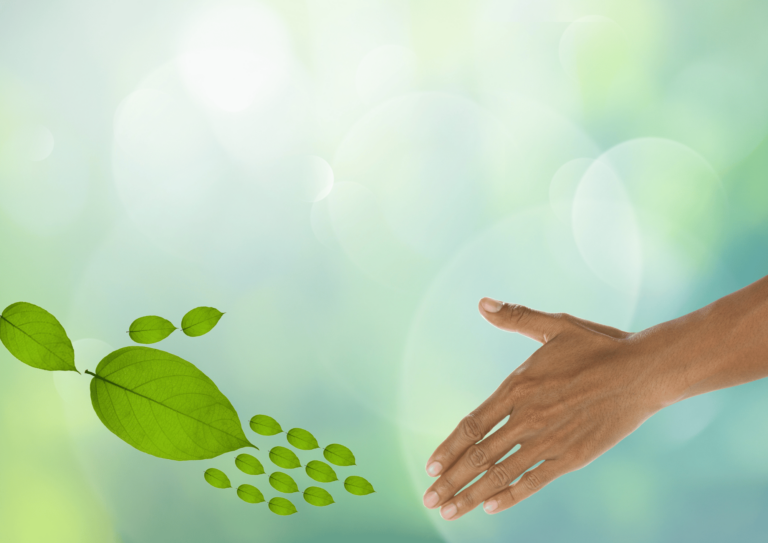 Eco-Friendly and Sustainable Living: Replace Everyday Products with Natural Alternatives