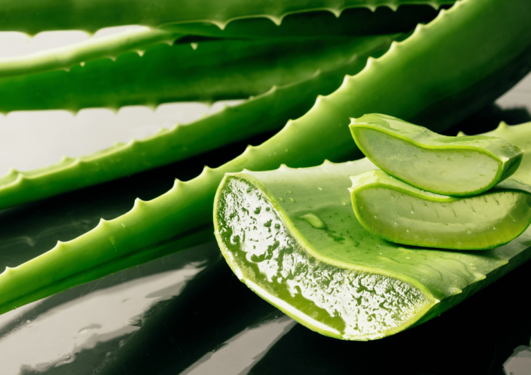 10 Amazing Benefits of Aloe Gel for Healthy, Glowing Skin
