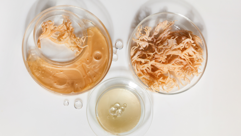 How to Prepare Irish Sea Moss for Consumption: A Step-by-Step Guide