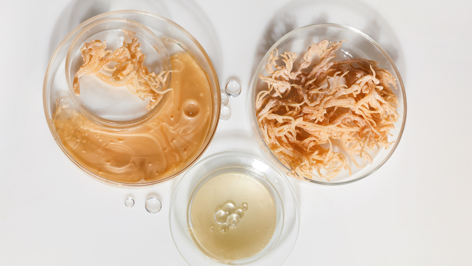 How to Prepare Irish Sea Moss for Consumption: A Step-by-Step Guide