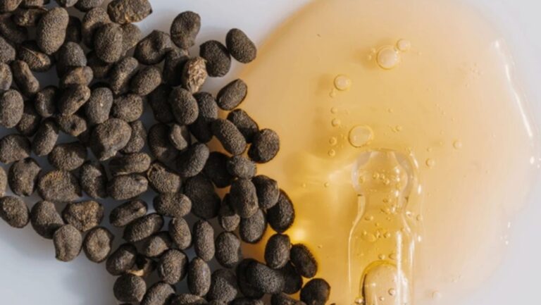 Bakuchi Oil: A Natural Retinol Alternative for Radiant Skin