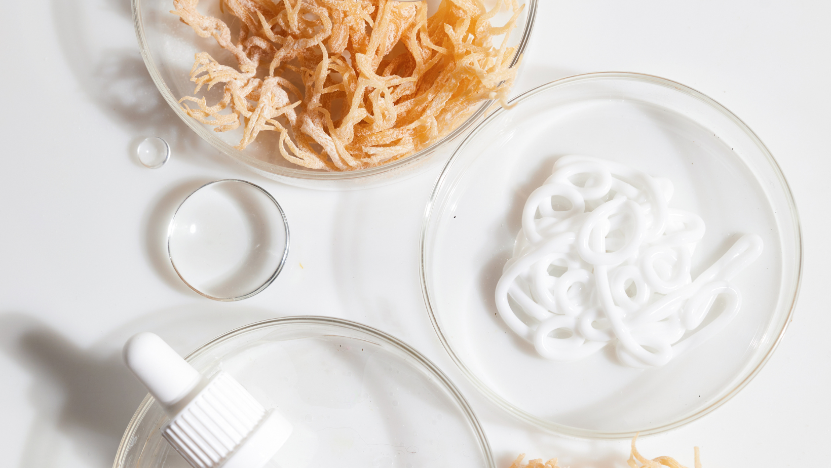 How to Rehydrate Sea Moss + Easy Ways to Use It in Skincare & Smoothies