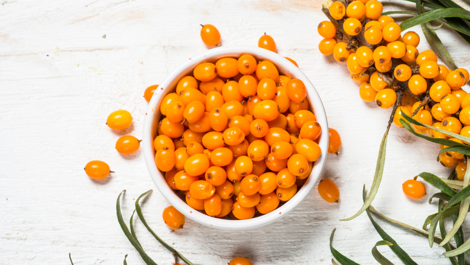 Sea Buckthorn Oil: The Golden Secret for Radiant Skin and Vital Health