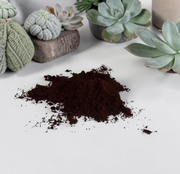 Grapeseed Exfoliant Powder