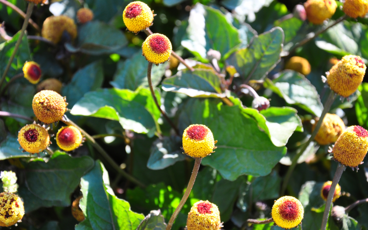 Blog Pics (1)