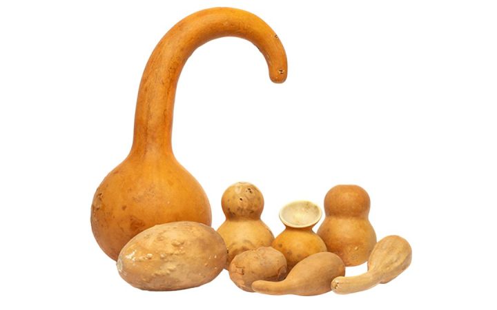 Calabash