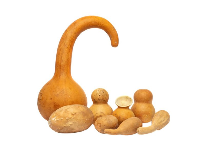 Calabash